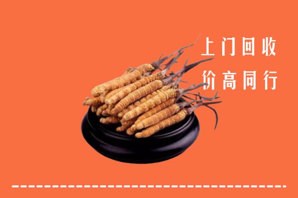 高价求购：乌鲁木齐回收散虫草
