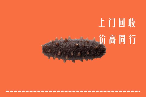 高价求购：乌鲁木齐回收海参