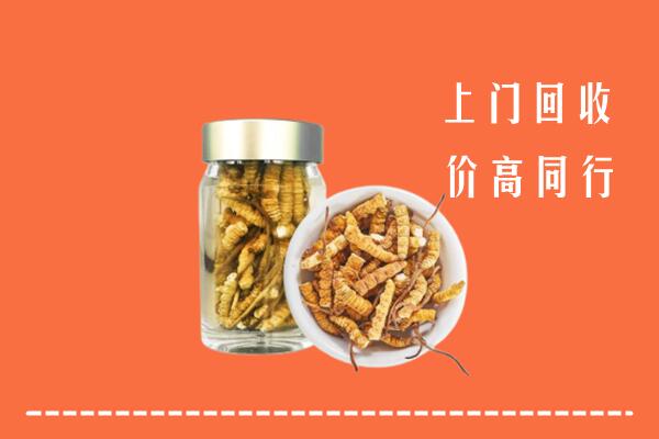 乌鲁木齐回收冬虫夏草