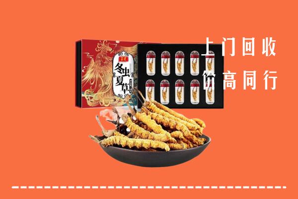 乌鲁木齐回收虫草